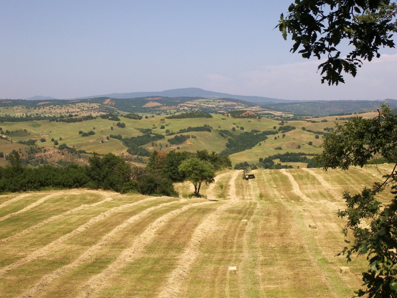 Una tarda primavera sulla Tolfa